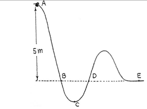 (./datoteke/koralda.png)