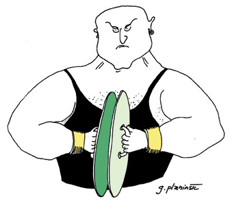 (./datoteke/plosci.png)