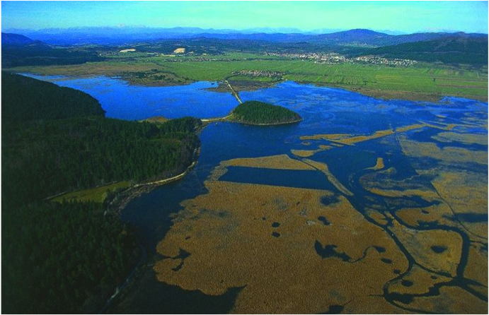 (./datoteke/pjezero.png)