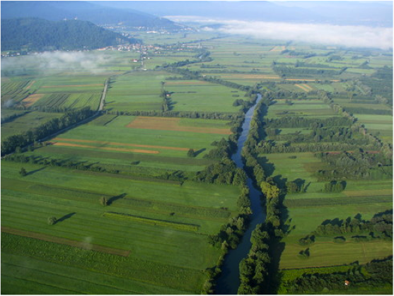 (./datoteke/reke.png)