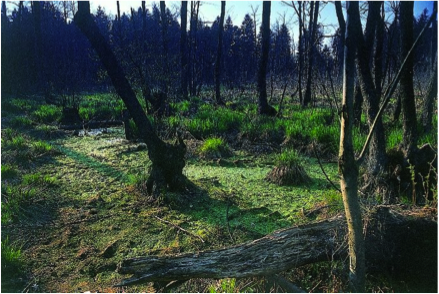 (./datoteke/rezervat.png)