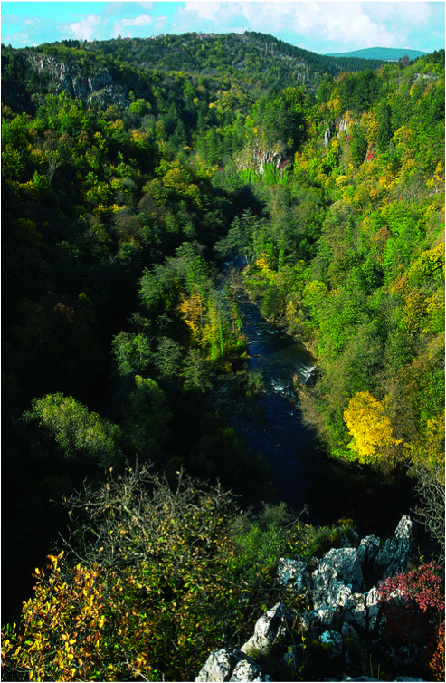 (./datoteke/skocjan.png)