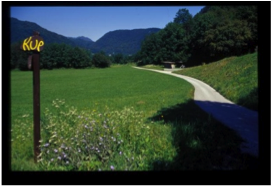 (./datoteke/pot3.png)