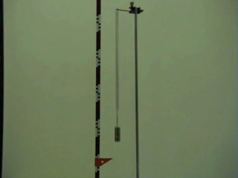 (./datoteke/vzmetna_600_9_nih.png)