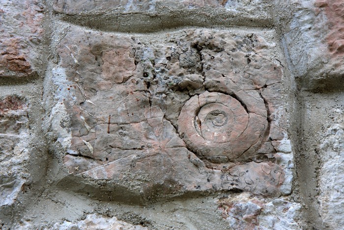 (./cached_files/dedi_26/221--velika--foto12_dolina-3g_erhartic.jpg)