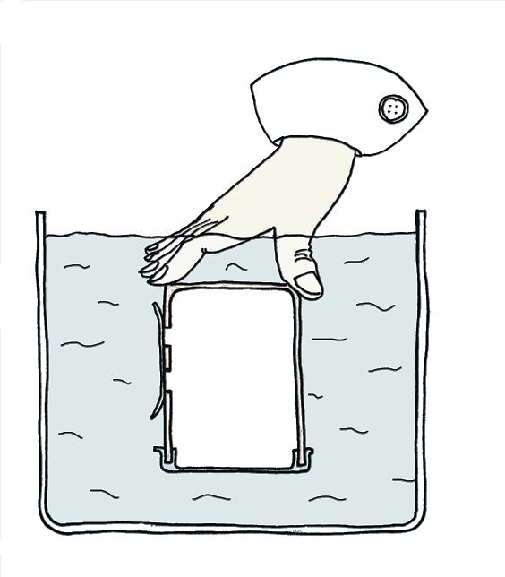 (./datoteke/zzposodanarobe2.png)