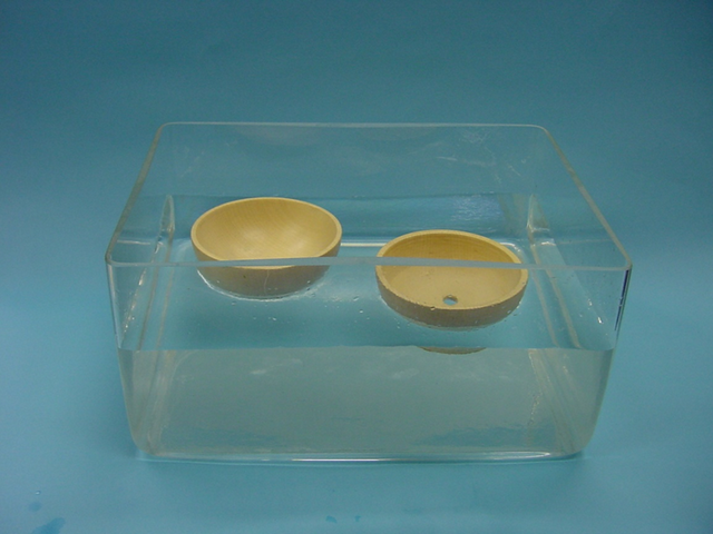 (./datoteke/posodicivvodi.png)