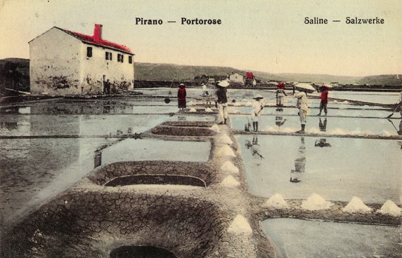 (Secovlje-kartica.jpg)