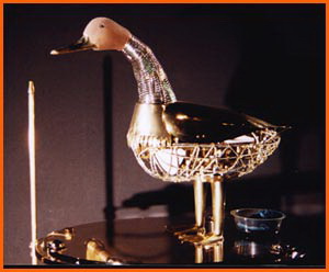 (prebavljajoca_raca.jpg)