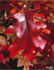 (kemija_naokrog.jpg)