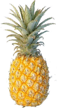 (ananas.gif)