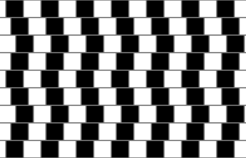 (opticna_iluzija_1.png)