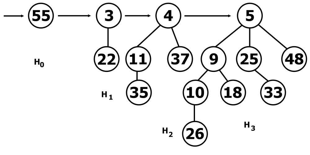 (binomskakopica.jpg)