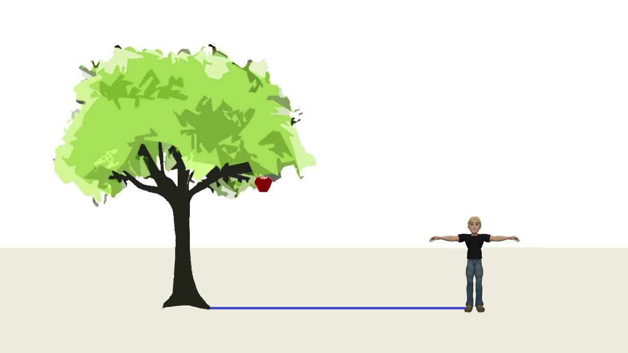 (drevo_clovek_razdalja1.png)