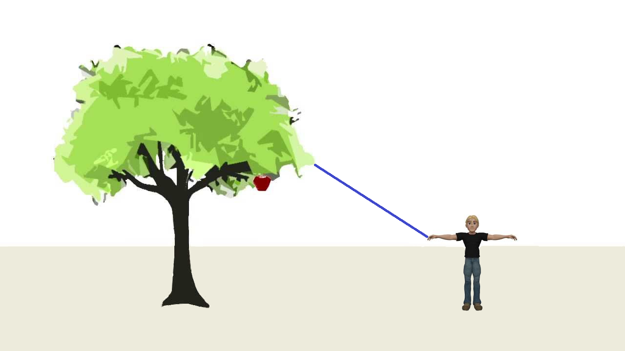 (drevo_clovek_razdalja2.png)