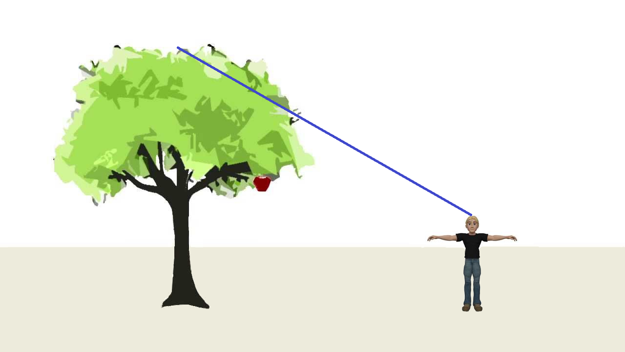 (drevo_clovek_razdalja3.png)