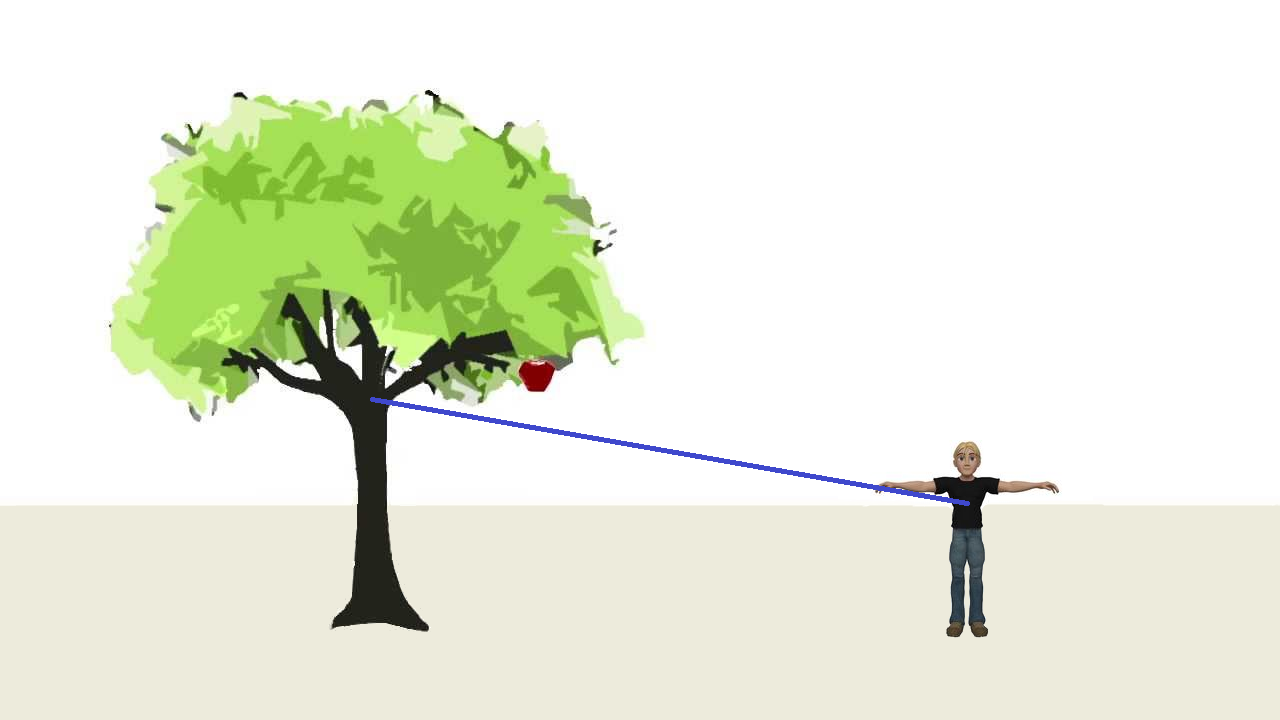 (drevo_clovek_razdalja4.png)