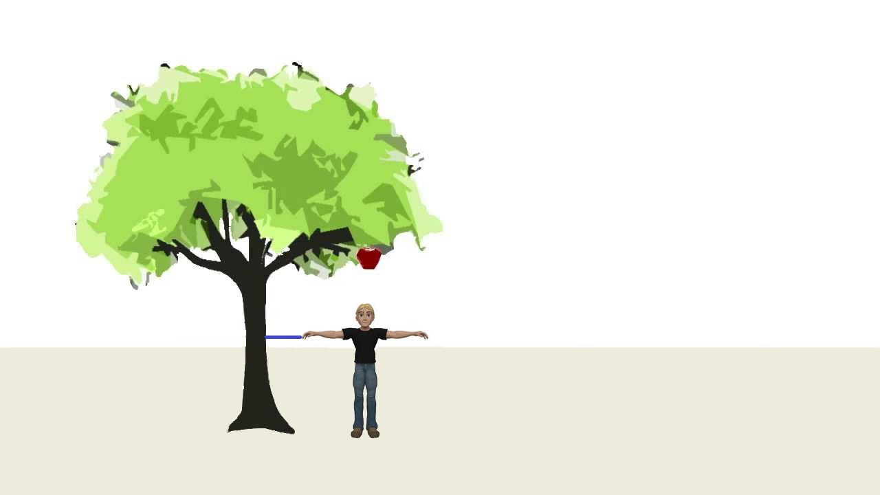 (drevo_clovek_razdalja5.png)